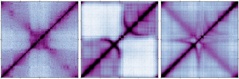 Figure 5a