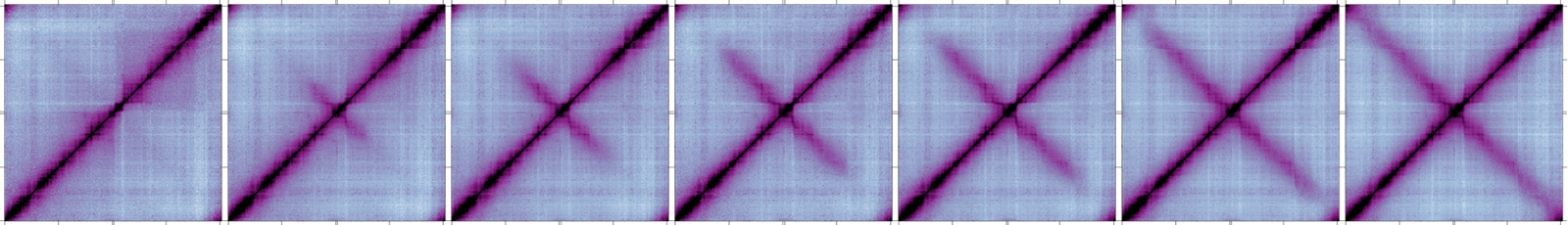Figure 5b
